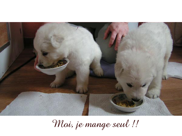 photo11