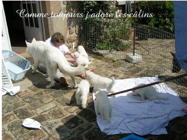 photo13