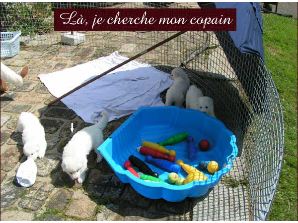 photo14
