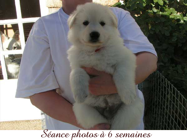 photo15