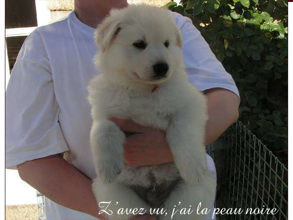 photo16