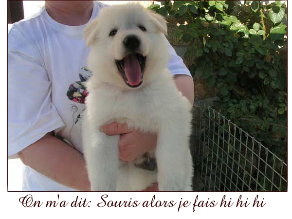 photo18