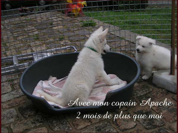 photo20