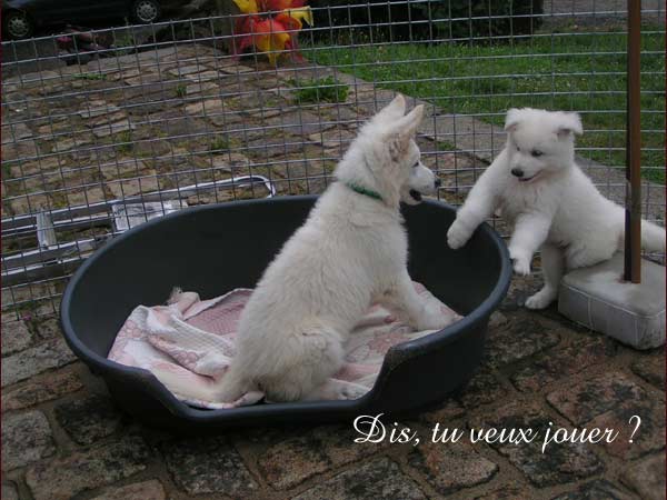 photo21
