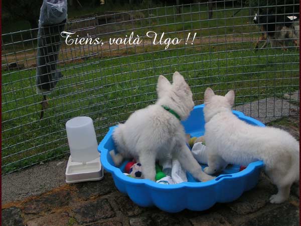 photo22
