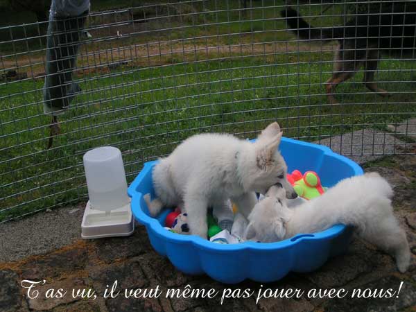photo23