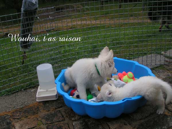 photo24