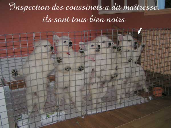 photo25