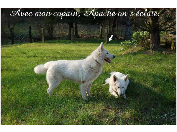 photo27