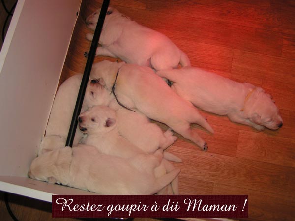 photo7