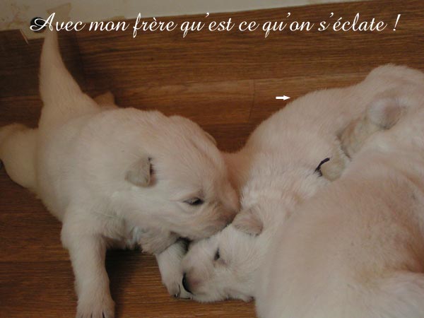 photo8