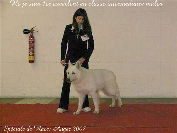 photo36