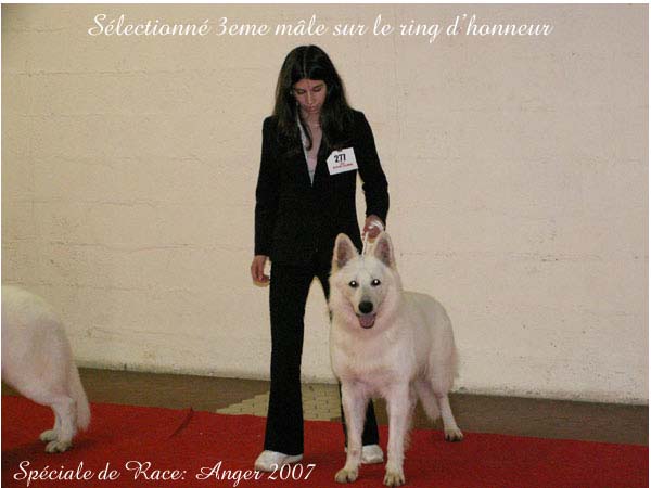 photo37