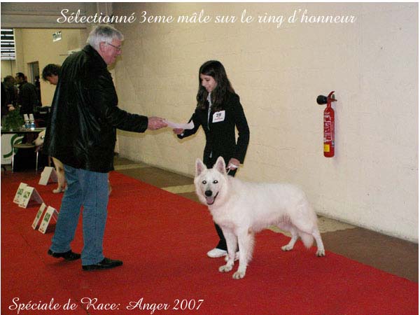 photo38