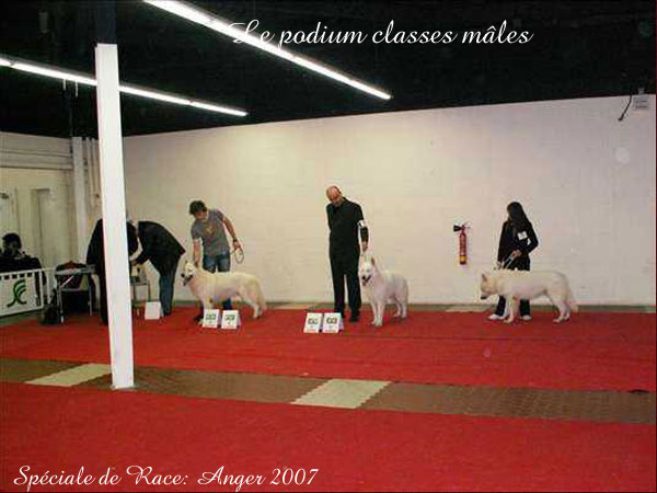 photo39