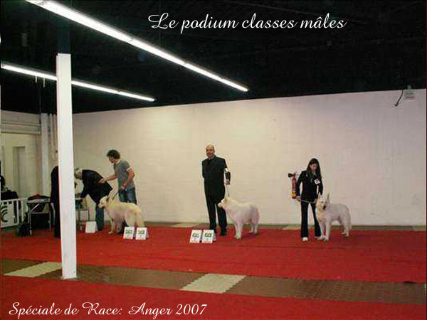 photo40