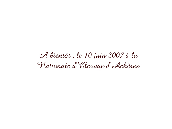 photo41