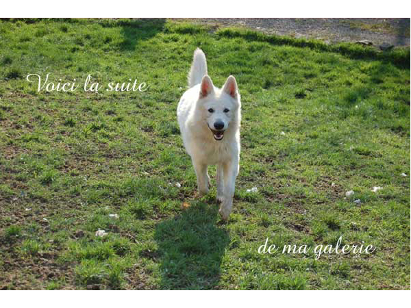 photo27a
