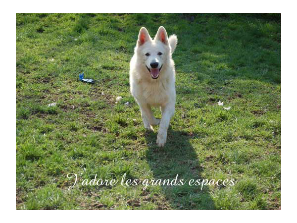 photo28