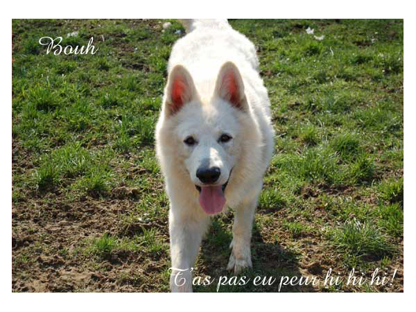 photo30