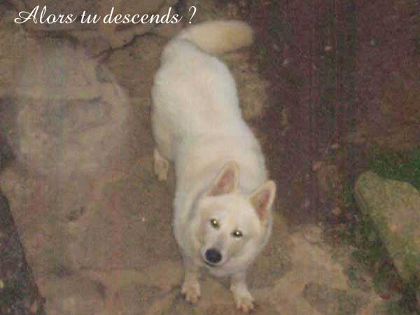 photo31