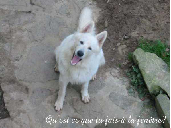 photo32