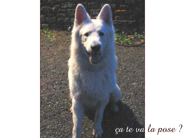 photo33