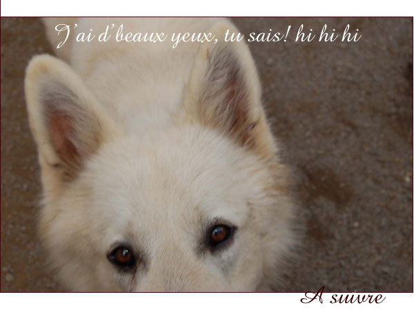 photo34