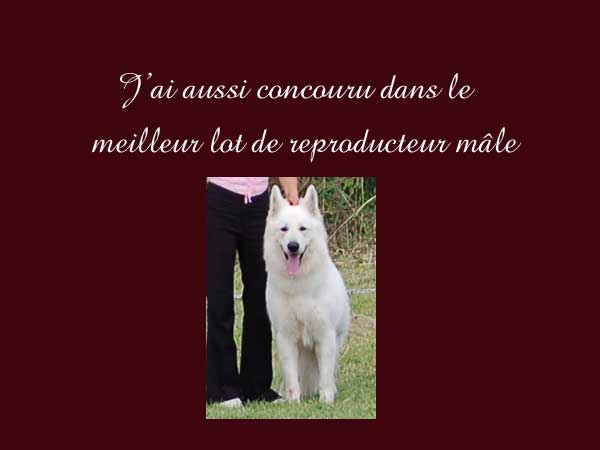 photo1r