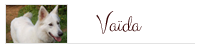 vaid
