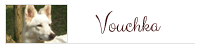 vouch