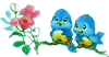 oisg2