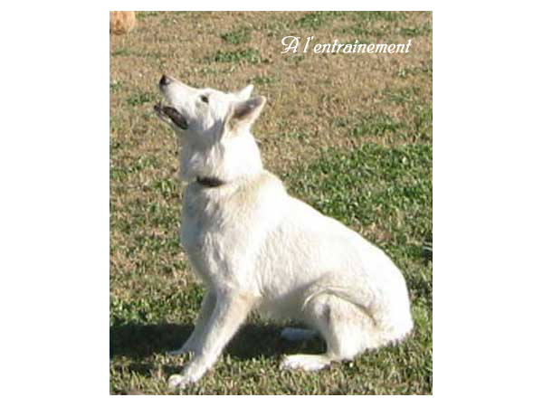 photo10