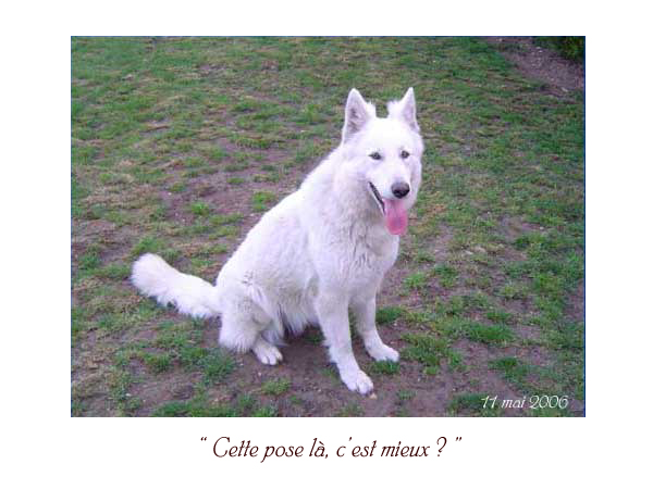 photo12