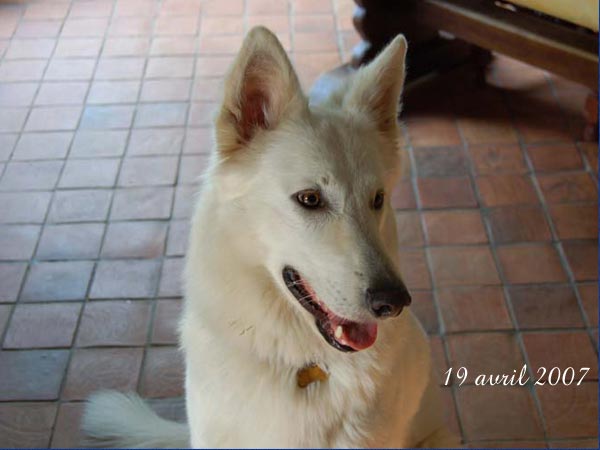 photo09