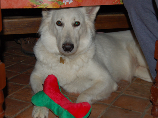 photo10