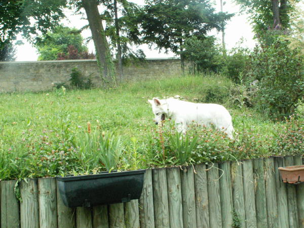 photo12