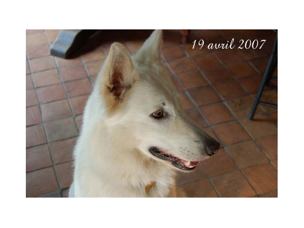 photo8