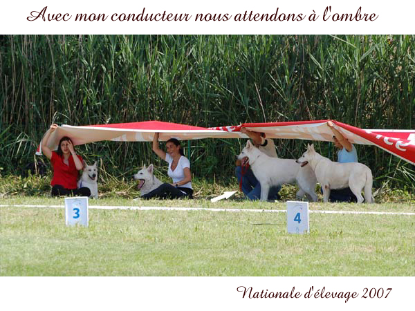 photo4