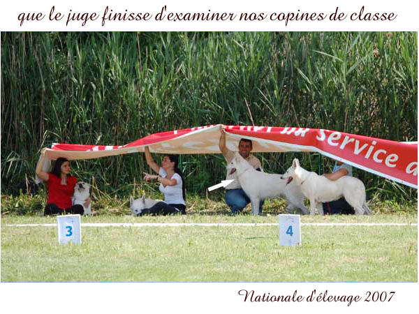photo5