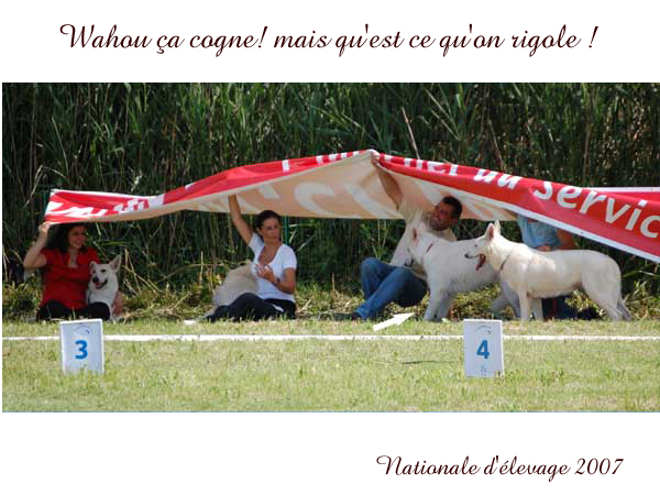 photo6